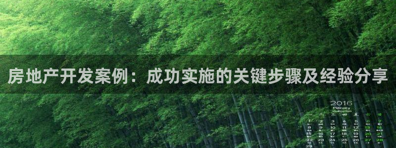 永利运动鞋是几几年出的