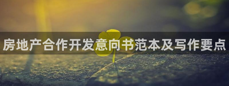 澳门永利集团简介