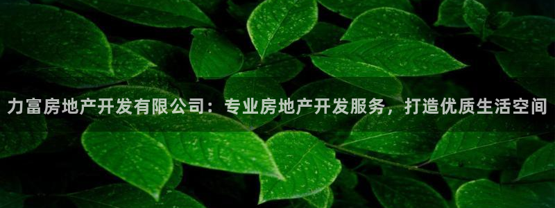 永利运动鞋是几几年出的