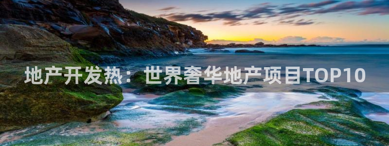 永利睹钱