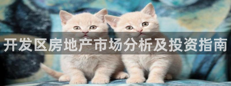 永利房地产开发有限公司