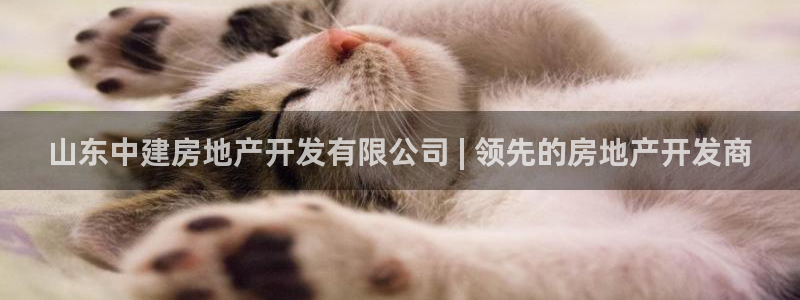永利胶带厂
