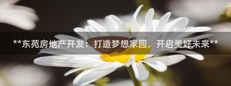 永利股份产品介绍