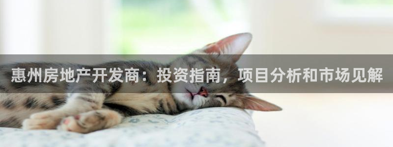 永利中国官网