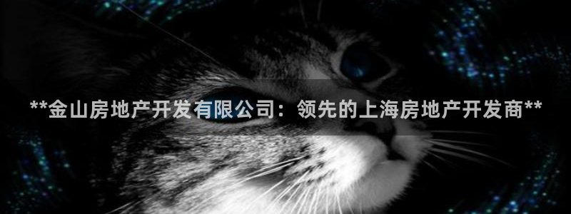 为什么永利网址打不开
