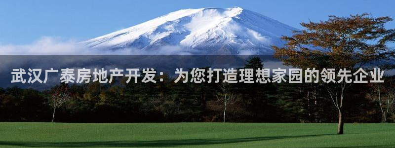 永利集团304am官方入口版