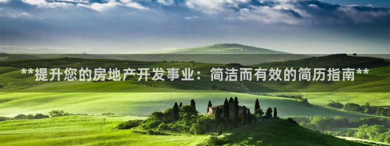 永利制带