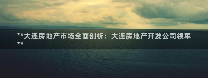 永利皮带