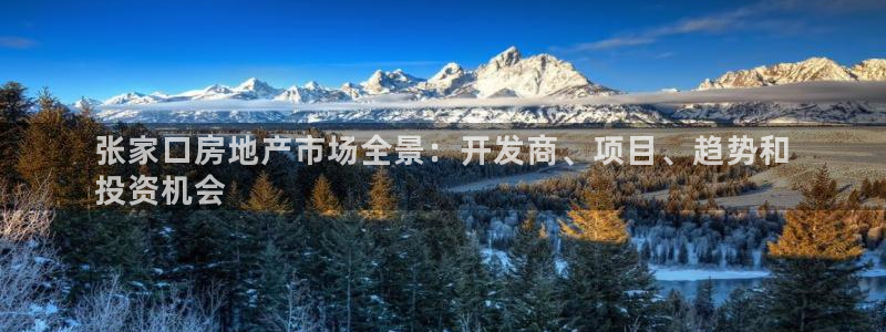 永利铔厂总技师长