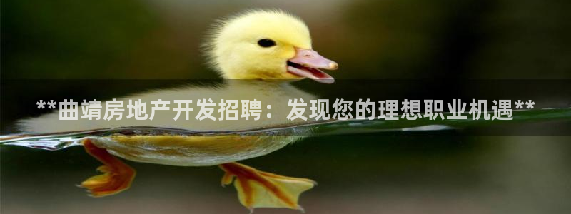 永利每月送30