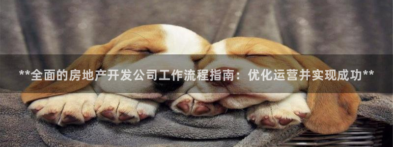 永利 陈志玲