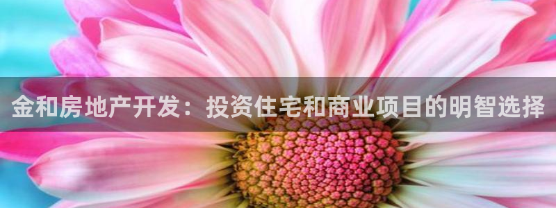 永利来织带