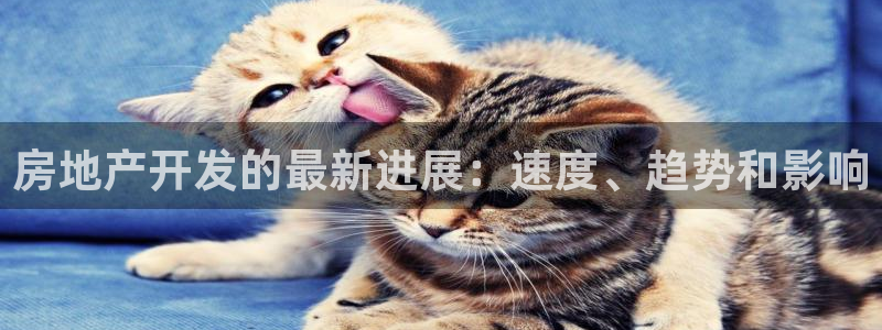 永利有限公司