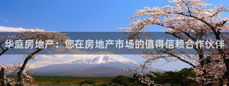 永利带业 皮带 输送带 价格