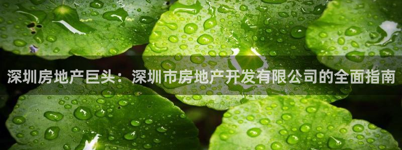 佛山永利工业皮带有限公司