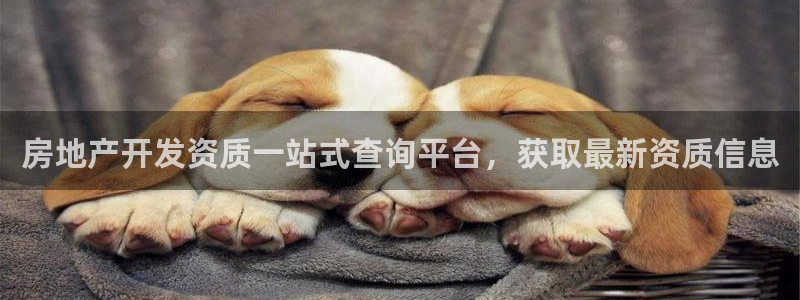 永利输的钱可以弄回来吗是真的吗