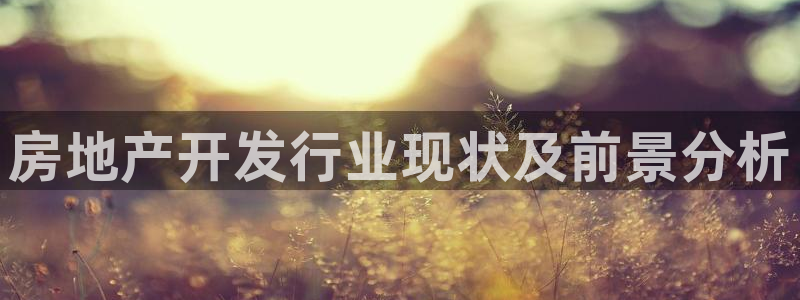 永利金文化有限公司