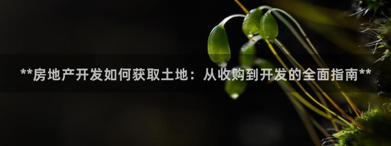 永利中国股票