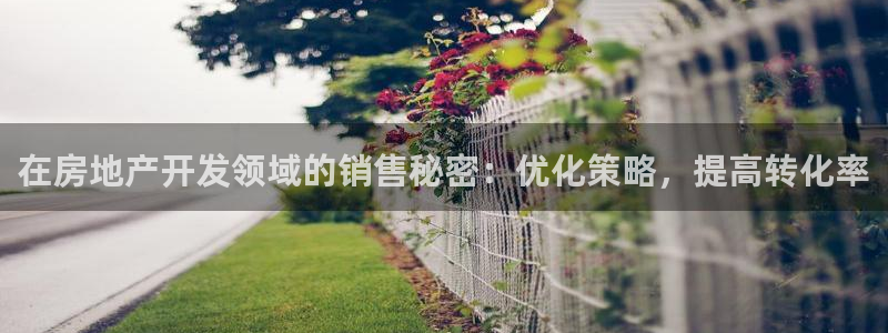 永利皇府黄立青身价