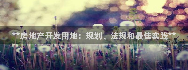 永利官网查询