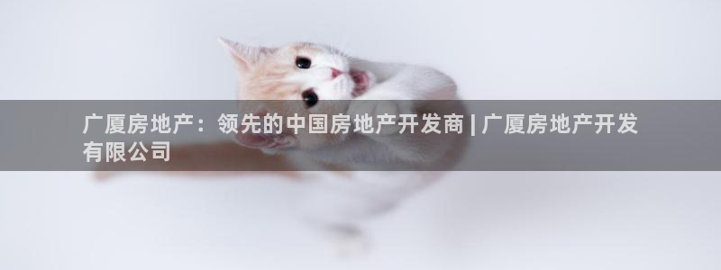 永利黄府黄立青信鸽图片