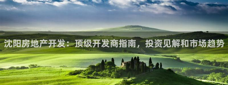 永利钱提不出来怎么办