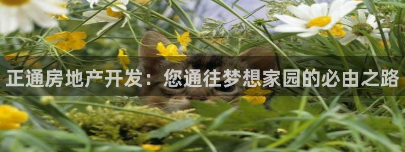 永利被黑不给出款解决方法
