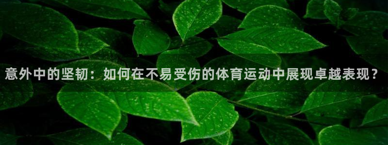 球速体育：意外中的坚韧：如何在不易受伤的体育运动中展现卓越表现？
