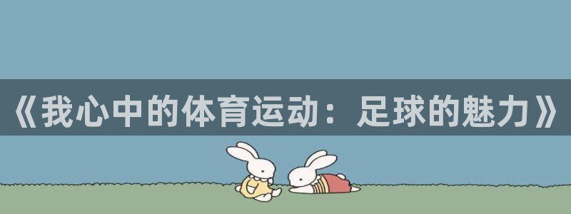 球速体育：《我心中的体育运动：足球的魅力》