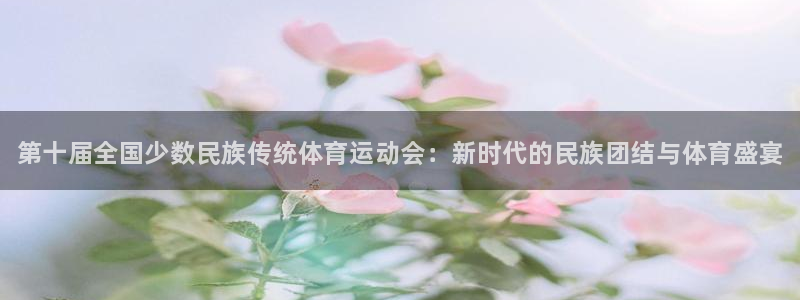 球速体育：第十届全国少数民族传统体育运动会：新时代的民族团结与体育盛宴
