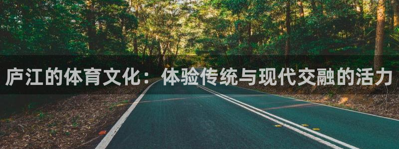 球速体育
