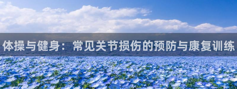 球速体育：体操与健身：常见关节损伤的预防与康复训练