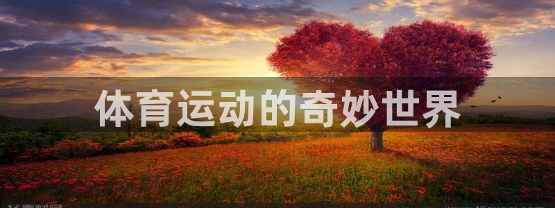 球速体育：体育运动的奇妙世界