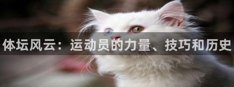 球速体育：体坛风云：运动员的力量、技巧和历史