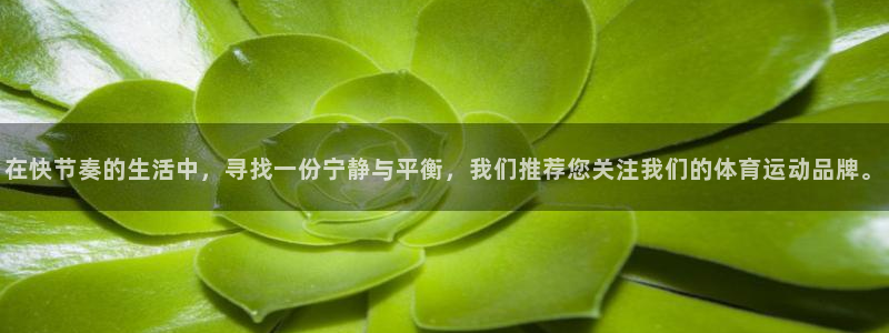 球速体育：在快节奏的生活中，寻找一份宁静与平衡，我们推荐您关注我们的体育运动品牌。