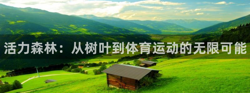 球速体育：活力森林：从树叶到体育运动的无限可能