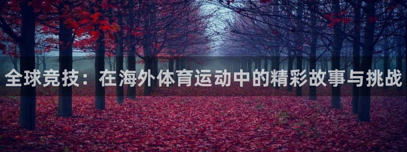 球速体育：全球竞技：在海外体育运动中的精彩故事与挑战