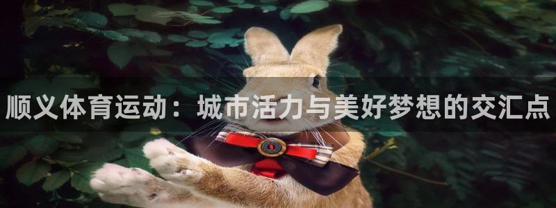球速体育：顺义体育运动：城市活力与美好梦想的交汇点