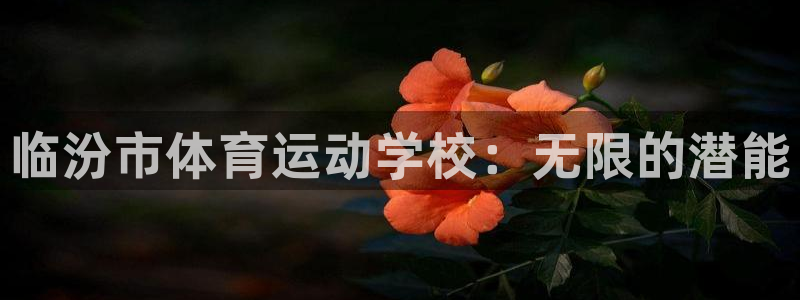 球速体育：临汾市体育运动学校：无限的潜能