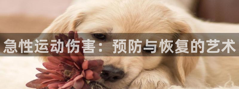 球速体育