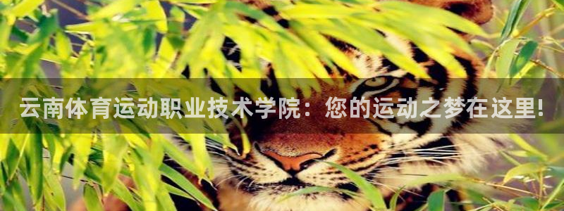 球速体育：云南体育运动职业技术学院：您的运动之梦在这里!