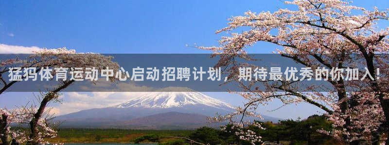 球速体育：猛犸体育运动中心启动招聘计划，期待最优秀的你加入!