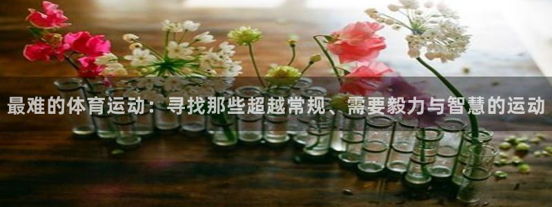球速体育：最难的体育运动：寻找那些超越常规、需要毅力与智慧的运动