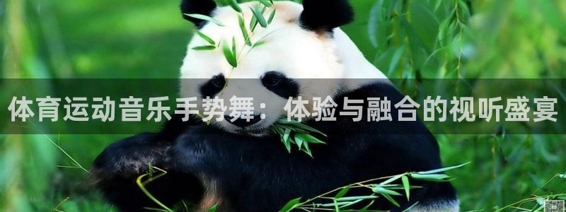 球速体育：体育运动音乐手势舞：体验与融合的视听盛宴