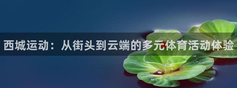 球速体育：西城运动：从街头到云端的多元体育活动体验