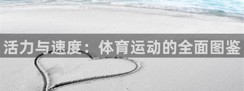 球速体育：活力与速度：体育运动的全面图鉴