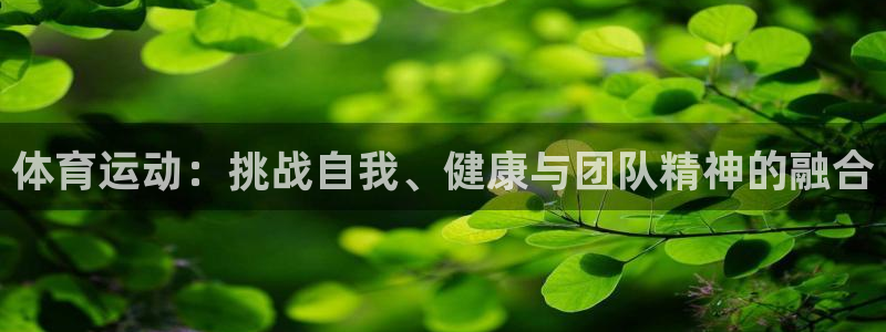球速体育：体育运动：挑战自我、健康与团队精神的融合