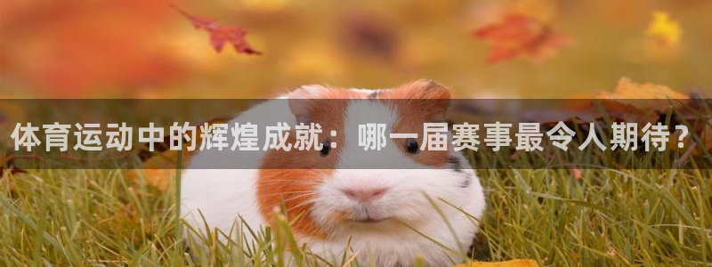 球速体育：体育运动中的辉煌成就：哪一届赛事最令人期待？