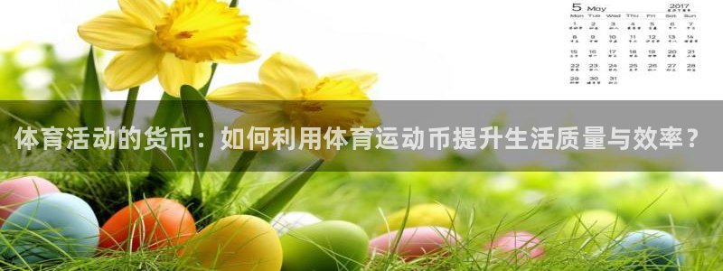 球速体育：体育活动的货币：如何利用体育运动币提升生活质量与效率？