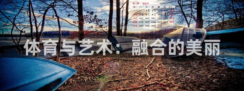 球速体育：体育与艺术：融合的美丽